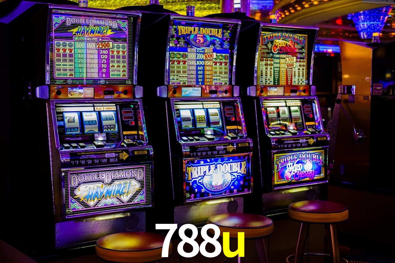 Programa VIP 788u