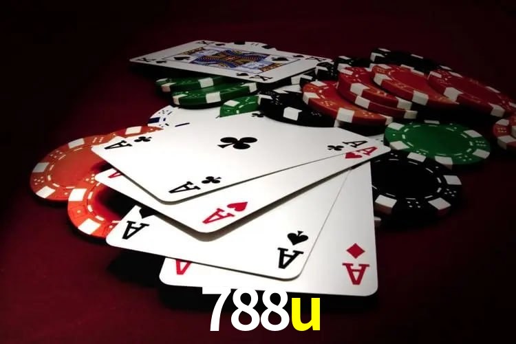 Interface Premium 788u